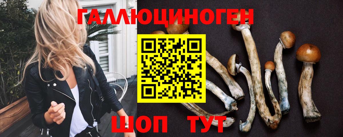 Заводоуковск  Галлюциногенные грибы мухоморы  Вход с VPN 